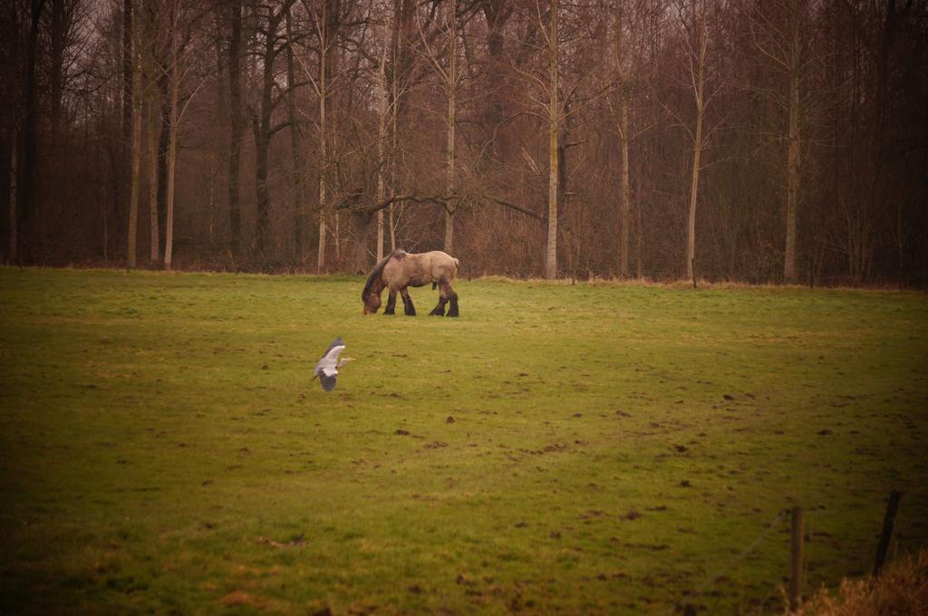 Hullehuis Lotenhulle Exteriér fotografie